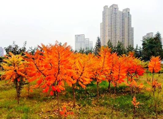微信圖片_20171025090730.jpg